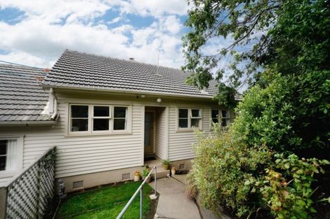 Photo of property in 44 Waimea Avenue, Calton Hill, Dunedin, 9012