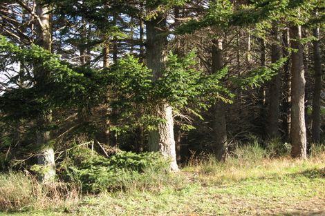 Photo of property in 2 Mark Street, Ravensbourne, Dunedin, 9022