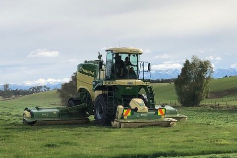 Photo of property in 287 Spar Bush School Road, Northope, Invercargill, 9874