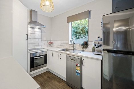 Photo of property in 1/53 Mathesons Road, Phillipstown, Christchurch, 8011