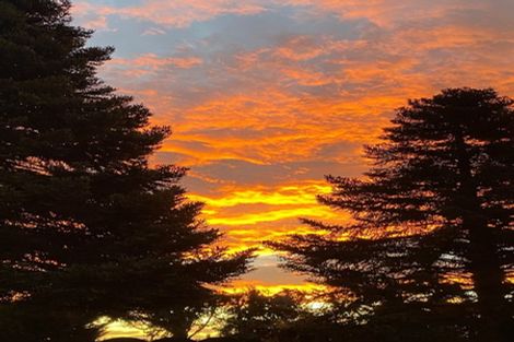 Photo of property in 61 Glassworks Road, Netherby, Ashburton, 7772