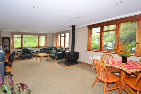 Photo of property in 333 Kenmure Road, Kenmure, Dunedin, 9011