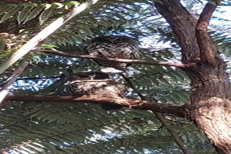 Photo of property in 37 Gerontius Lane, Snells Beach, 0920