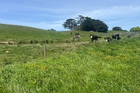 Photo of property in 923 Oporae Road, Waione, Dannevirke, 4971