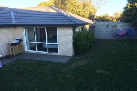 Photo of property in 47 Cranford Street, St Albans, Christchurch, 8014