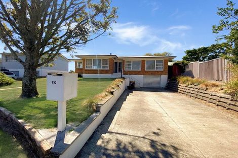 Photo of property in 20 Weka Place, Tokoroa, 3420
