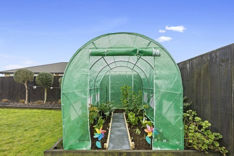 Photo of property in 50 Matipo Street, Matamata, 3400