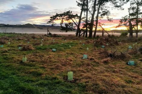 Photo of property in 437 Okirae Road, Mangamahu, Wanganui, 4577