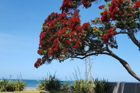 Photo of property in 14 Judd Place, Orewa, 0931