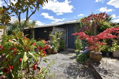 Photo of property in 16 Tyne Street, Carterton, 5713