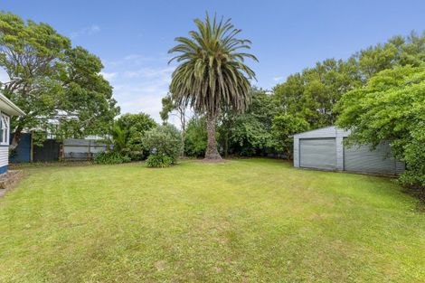 Photo of property in 20 Mckenzie Street, Levin, 5510