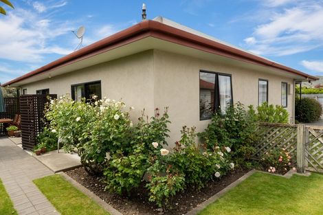 Photo of property in 14a Burden Street, Redwoodtown, Blenheim, 7201