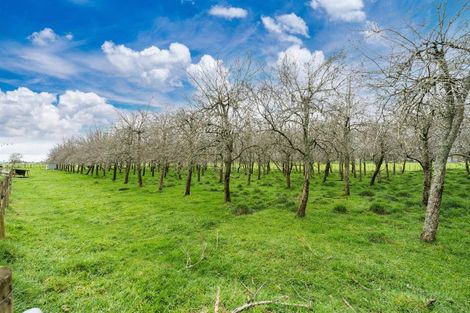 Photo of property in 110 Kells Lane, Lichfield, Putaruru, 3482