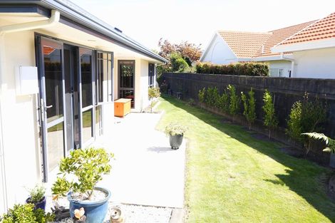 Photo of property in 150 Avenue Road, Greenmeadows, Napier, 4112