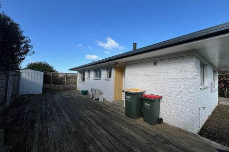 Photo of property in 29 Alison Street, Hamilton Lake, Hamilton, 3204