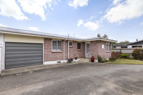 Photo of property in 44a-b Leefield Street, Blenheim, 7201