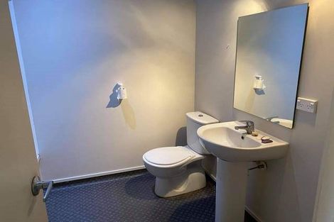 Photo of property in 12/12 Nikau Street, Eden Terrace, Auckland, 1021