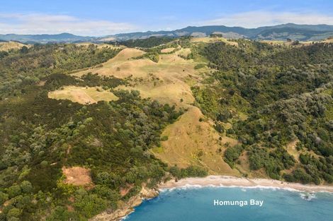 Photo of property in 269 Ngatitangata Road, Waihi, 3681