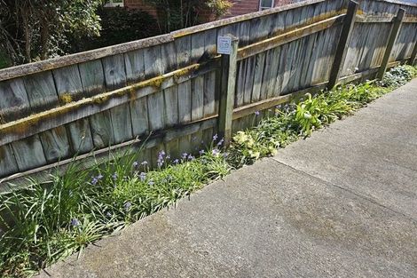 Photo of property in 41 Park Road, West End, Palmerston North, 4412