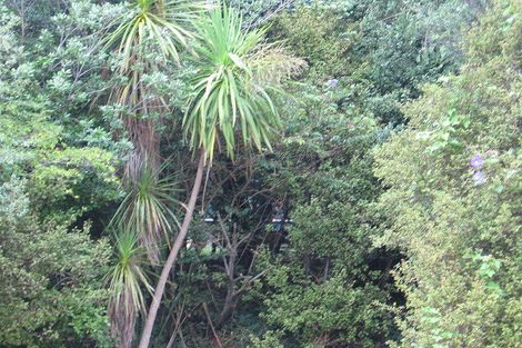 Photo of property in 16 Philson Terrace, Browns Bay, Auckland, 0630