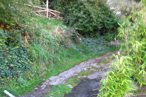 Photo of property in 56 Buccleugh Street, North East Valley, Dunedin, 9010