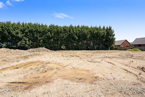 Photo of property in 30 Rakau Lane, Waikiwi, 9810