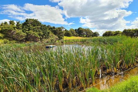 Photo of property in 304 Arapaoa Road, Tinopai, Matakohe, 0593