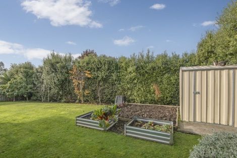 Photo of property in 42 Chapman Street, Leeston, 7632