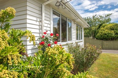 Photo of property in 10 Weka Grove, Elderslea, Upper Hutt, 5018