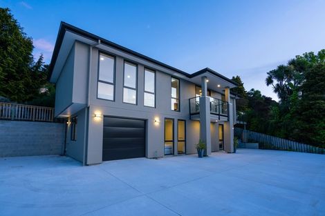 Photo of property in 540a North Road, Normanby, Dunedin, 9010