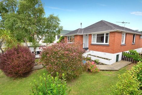 Photo of property in 333 Kenmure Road, Kenmure, Dunedin, 9011