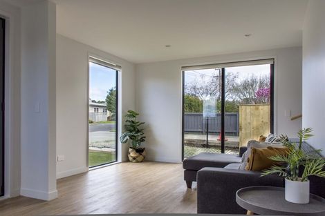 Photo of property in 34a Allenby Road, Panmure, Auckland, 1072