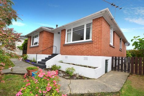 Photo of property in 333 Kenmure Road, Kenmure, Dunedin, 9011