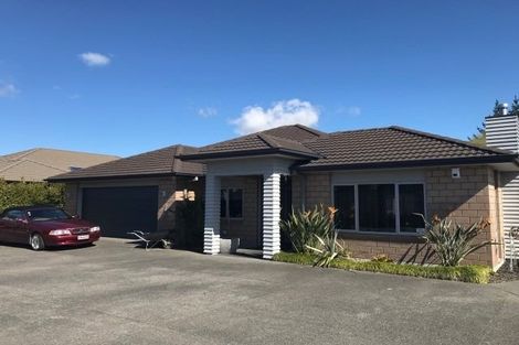 Photo of property in 234 Hollister Lane, Ohauiti, Tauranga, 3112