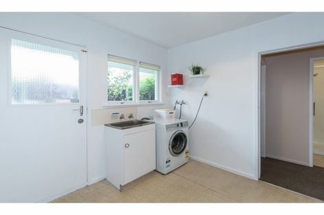 Photo of property in 17 Ferniehurst Street, Somerfield, Christchurch, 8024