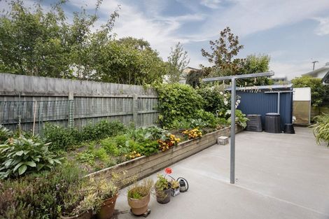 Photo of property in 26 Hannah Place, Holmes Hill, Oamaru, 9401