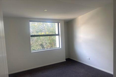 Photo of property in 215 Peterborough Street, Christchurch Central, Christchurch, 8013
