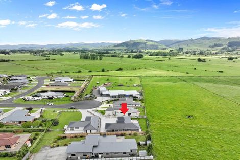 Photo of property in 20 Rata Lane, Paeroa, 3600