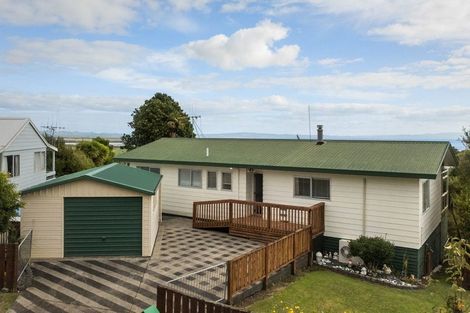 Photo of property in 404 Millington Place, Thames, 3500