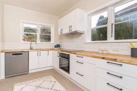 Photo of property in 113 Chapman Street, Wakari, Dunedin, 9010