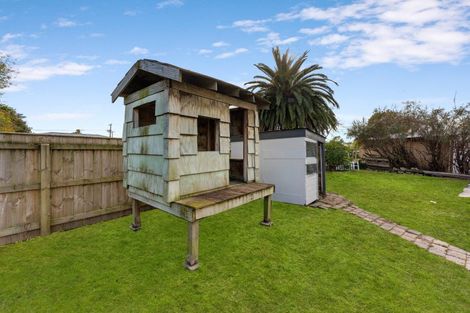 Photo of property in 6 Duncan Place, Highbury, Palmerston North, 4412