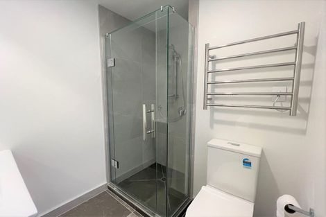 Photo of property in 10 Ti Kouka Lane, Sandringham, Auckland, 1025