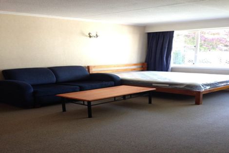 Photo of property in 52c Royal Terrace, Dunedin Central, Dunedin, 9016