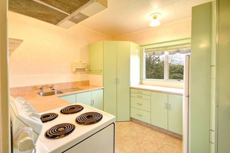 Photo of property in 116 Beach Street, Waikouaiti, 9510