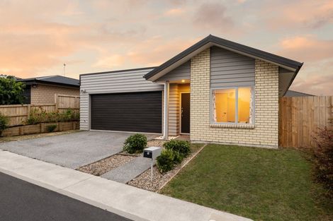 Photo of property in 12 Taotahi Avenue, Dinsdale, Hamilton, 3204