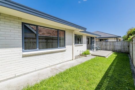 Photo of property in 46a Salisbury Street, Levin, 5510