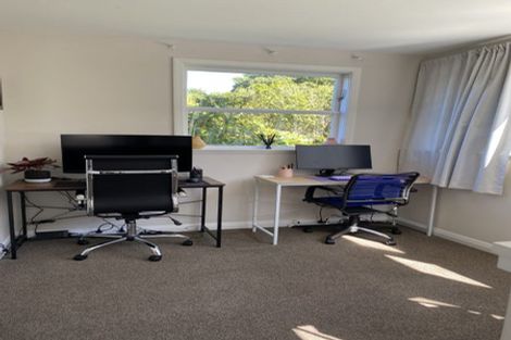 Photo of property in 162 The Ridgeway, Mornington, Wellington, 6021