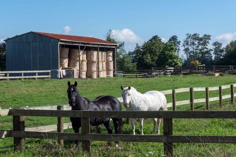 Photo of property in 25 Cookson Road, Tikitere, Rotorua, 3074