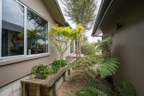 Photo of property in 4 Romney Close, Richmond, 7020