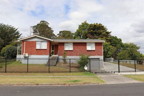 Photo of property in 50 Rosser Street, Huntly, 3700